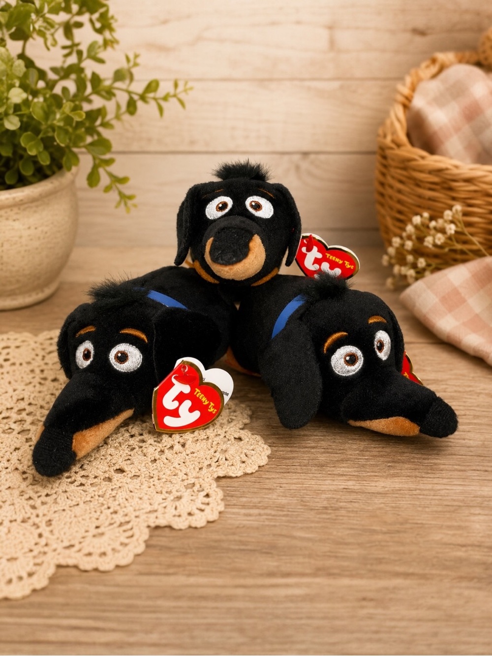 Teeny TYs Pets Buddy black Weiner dog plush 5" bundle of 3 with tags